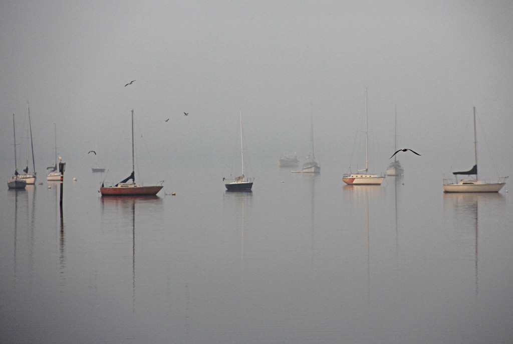 Sid Earley "Boats in the Mist"